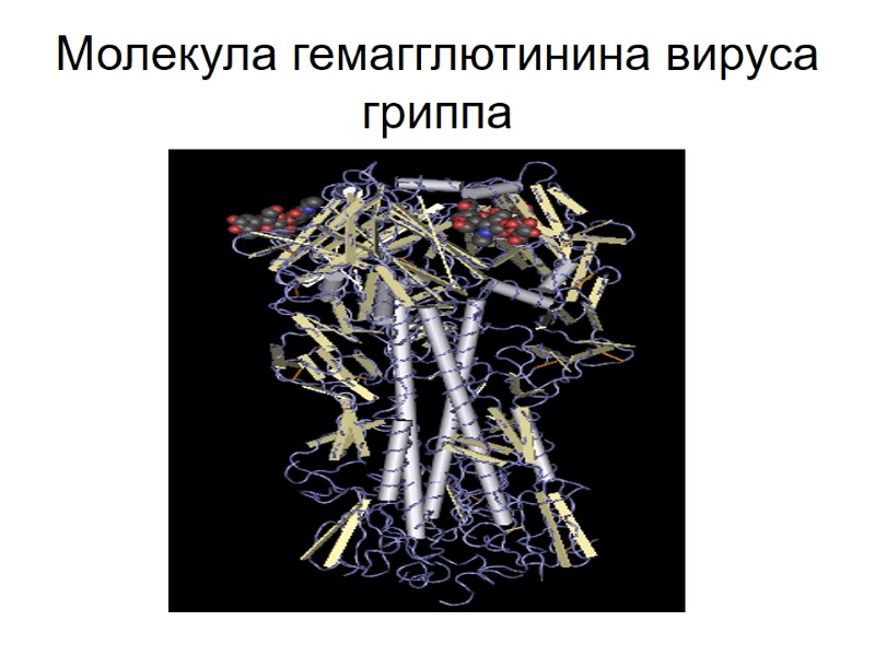 Молекула гемагглютинина вируса гриппа